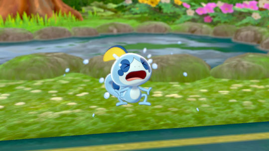 Pokemon Shield Switch Game