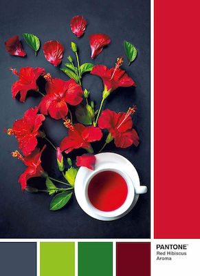 Pantone Goji Berry Puzzle 2D 1000 Pieces