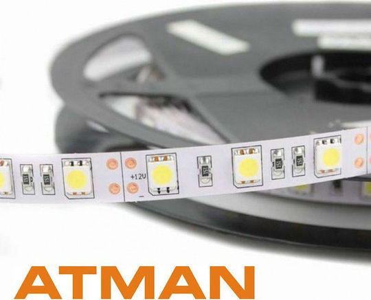 Atman LED Strip 12V Warm White Light 5m Type SMD3528