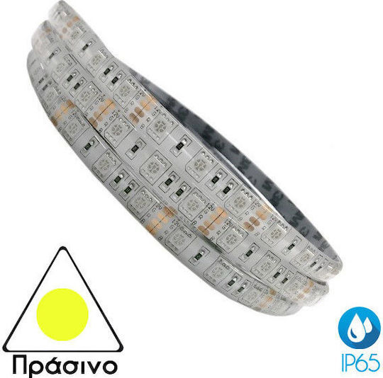 Atman Waterproof LED Strip 24V Warm White Light 5m Type SMD5050