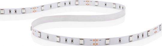 Atman LED Strip 12V Red Light 5m Type SMD5050