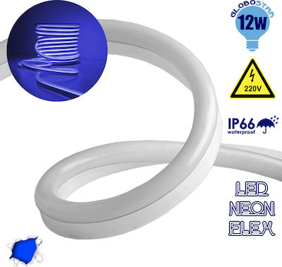 GloboStar Wasserdicht Neon Flex LED-Streifen Stromversorgung 220V mit Blau Licht Länge 1m und LED pro Meter