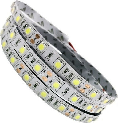 GloboStar Bandă LED Alimentare 12V cu Lumină Alb Rece Lungime 5m și 60 LED-uri pe Metru SMD5050