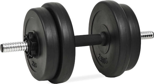 vidaXL Set de gantere 2x 10kg