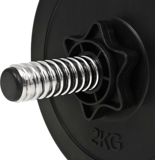 vidaXL Set de gantere 2x 10kg