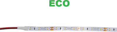 Adeleq Bandă LED Alimentare 12V cu Lumină Alb Rece Lungime 5m și 60 LED-uri pe Metru SMD3014