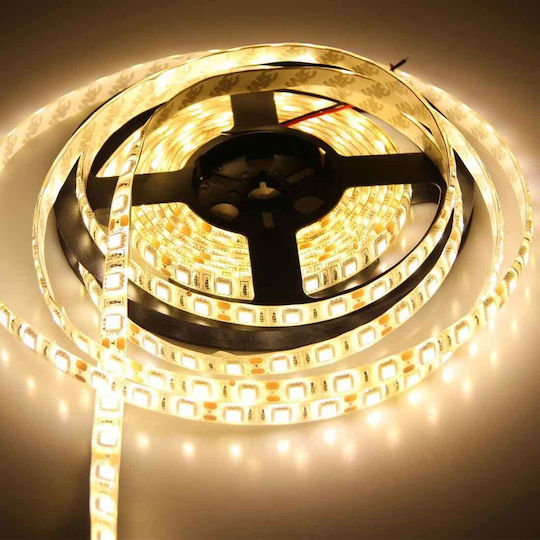 Lucas LED-Streifen 12V Warmes Weiß Licht 5m Typ SMD5050