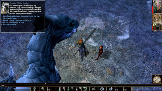 Neverwinter Nights Enhanced Издание PS4 Игра