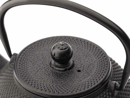 Bredemeijer Jang Teapot with Filter Cast Iron Black 800ml