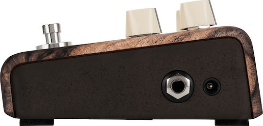LR Baggs Align Series Πετάλι Effect Chorus Ηλεκτροακουστικών Οργάνων