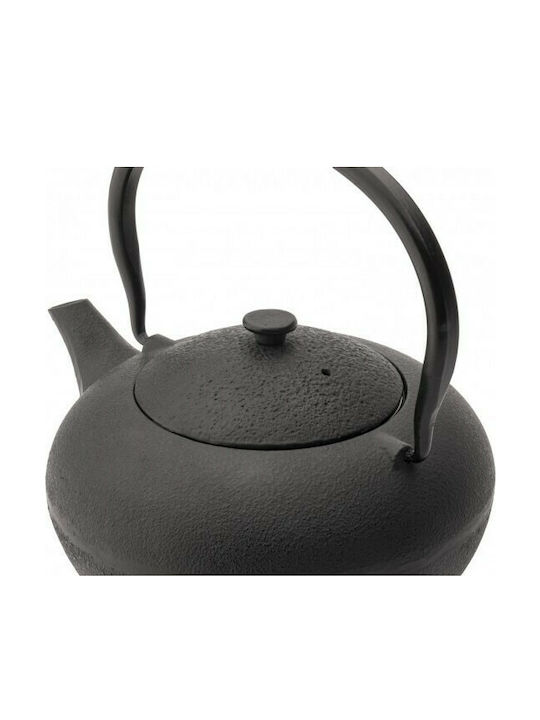 Bredemeijer Shanxi Tea Set with Cup and Filter Cast Iron Black 1000ml 3pcs