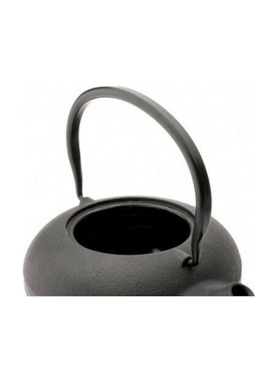 Bredemeijer Shanxi Tea Set with Cup and Filter Cast Iron Black 1000ml 3pcs