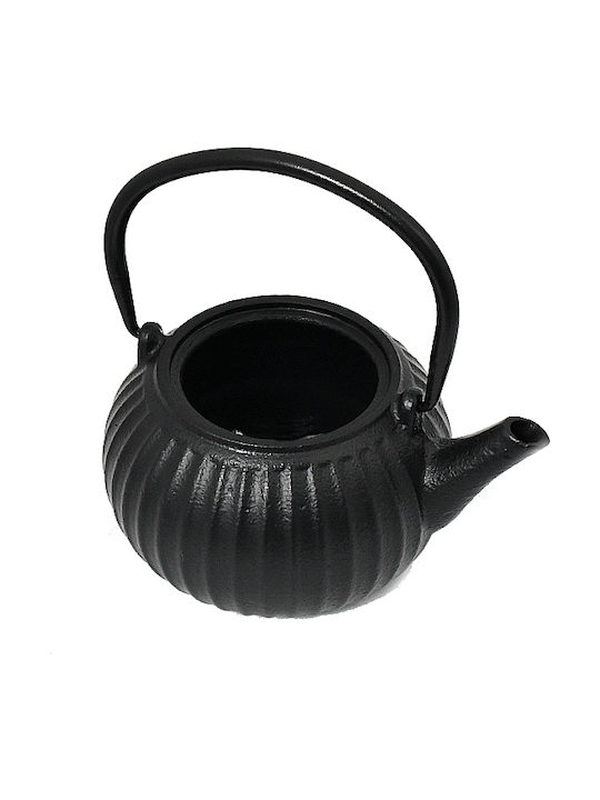 Teapot with Filter Cast Iron Black 500ml