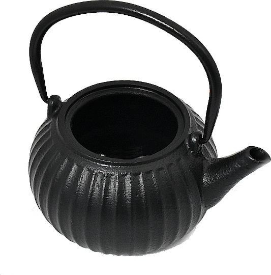 Teapot with Filter Cast Iron Black 500ml
