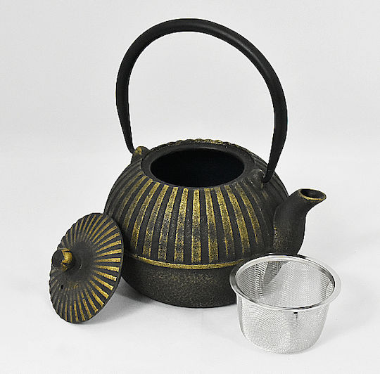 Cast Iron Teapot With Filter 900ml Cast Iron Teapot With Filter 900ml