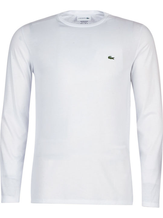 Lacoste T-shirt Λευκό