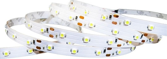 Optonica Ταινία LED 12V Φυσικό Λευκό Φως 5m Τύπου SMD2835
