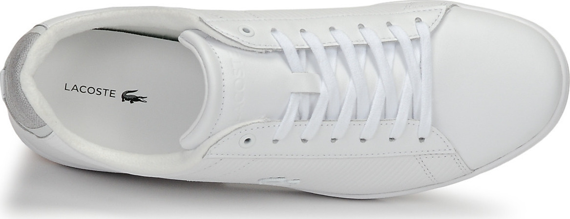 lacoste carnaby evo 319 9