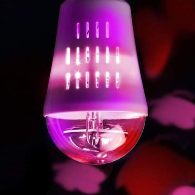 Wofi Butterfly LED Bulb 4W for Socket E27 and Shape A60 Pink 10lm