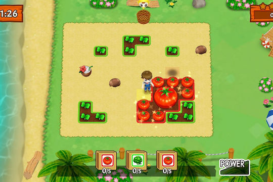 Harvest Moon: Mad Dash PS4 Game