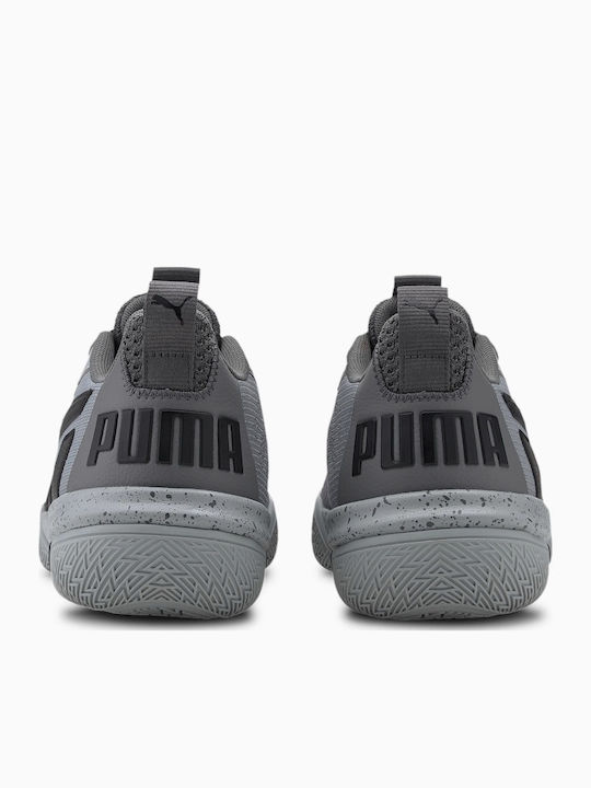 Legacy Low Niedrig Basketballschuhe Gray