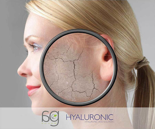 Hyaluronsäure Ergänzung Für Gesundes Haar Leder & Nägel 30ml