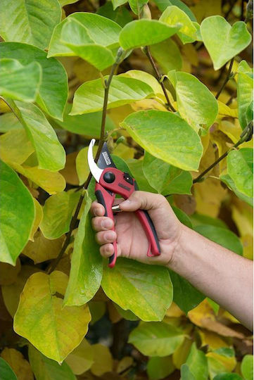 Kreator Pruning Shears with Maximum Cutting Diameter 19mm