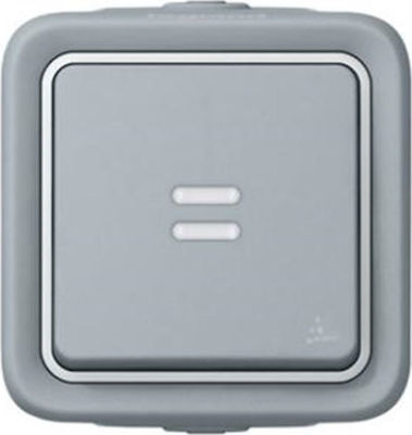 Legrand Plexo 0697 External Electrical Lighting Wall Switch no Frame Basic Aller Retour Illuminated Waterproof Gray