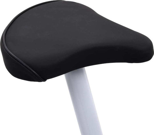 vidaXL Magnetisch