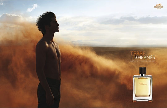 Hermes Terre D' Hermes Eau de Toilette 200ml