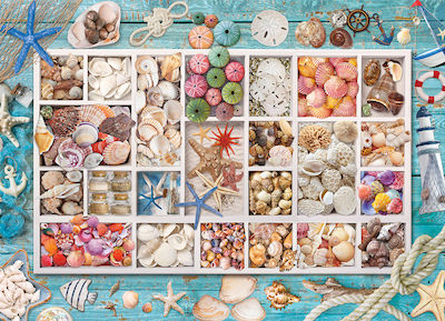 Seashell Collection Puzzle 2D 1000 Pieces