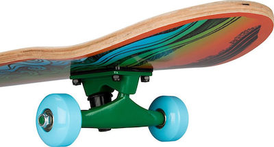 Black Dragon Skateboard Complet Placă scurtă Multicolor