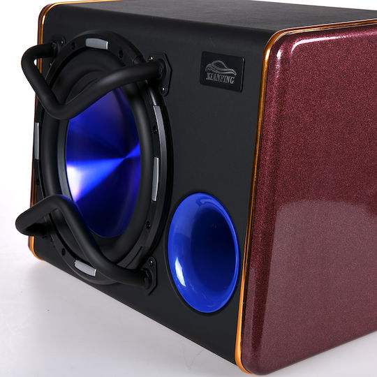 YL-103 Αυτοενισχυόμενο Subwoofer Αυτοκινήτου 10" 120W RMS με Κούτα