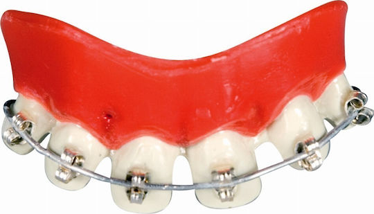 Carnival Teeth 1pcs (Μiscellaneous Designs/Colors)