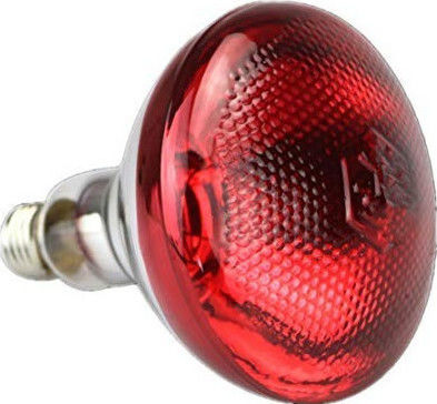 Infrared Lamp 100W for Socket E27