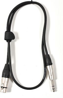 Metro XLR female to 6.3mm male 1m Cable (PXJ-002/1M)