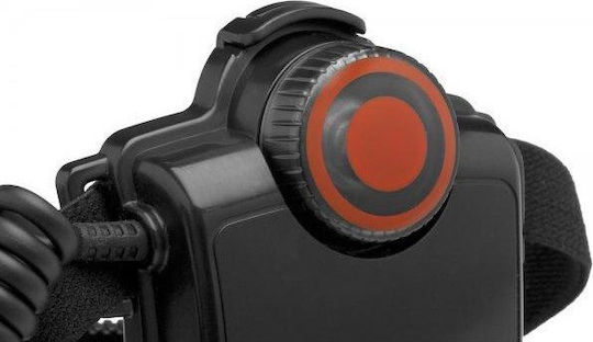 LedLenser Rechargeable Headlamp LED IPX6 with Maximum Brightness 300lm 4xAAA Black