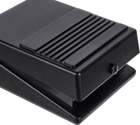 Roland DP-2 Πετάλι Footswitch Ηλεκτροακουστικών Οργάνων, Ηλεκτρικής Κιθάρας και Ηλεκτρικού Μπάσου