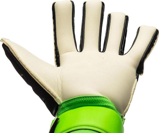 adidas Ace Competition Adults Goalkeeper Gloves Green