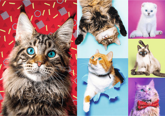 Happy Cats Puzzle 2D 1000buc