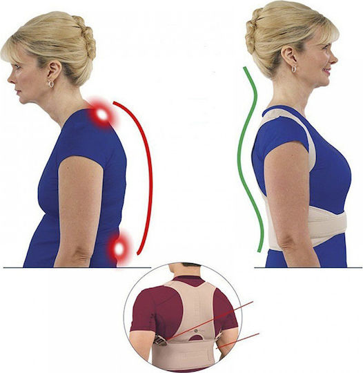 Factory Royal Posture GL-35101 Tutoriale de întindere Guler Rucsacuri în Bej Culoare