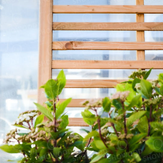Wooden Garden Trellis in Beige Colour 100x180cm
