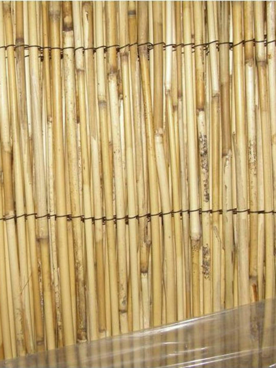 Ankor Bamboo Fencing with Whole Reed 2x3m