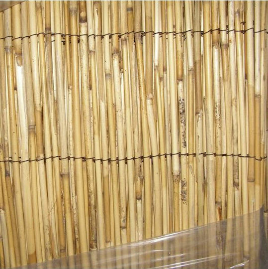 Ankor Каламоти с Целият Рийд 2x3m
