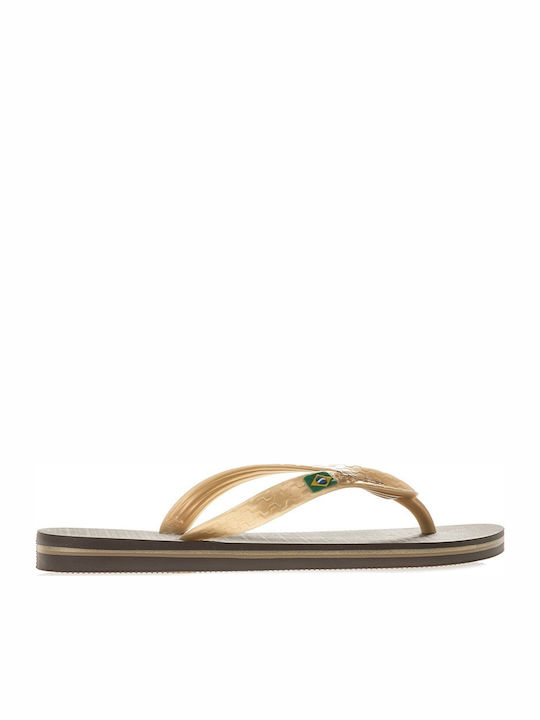 Classica Brazil Women's Flip Flops in Gold Color 780-18308 GOLDBROWN