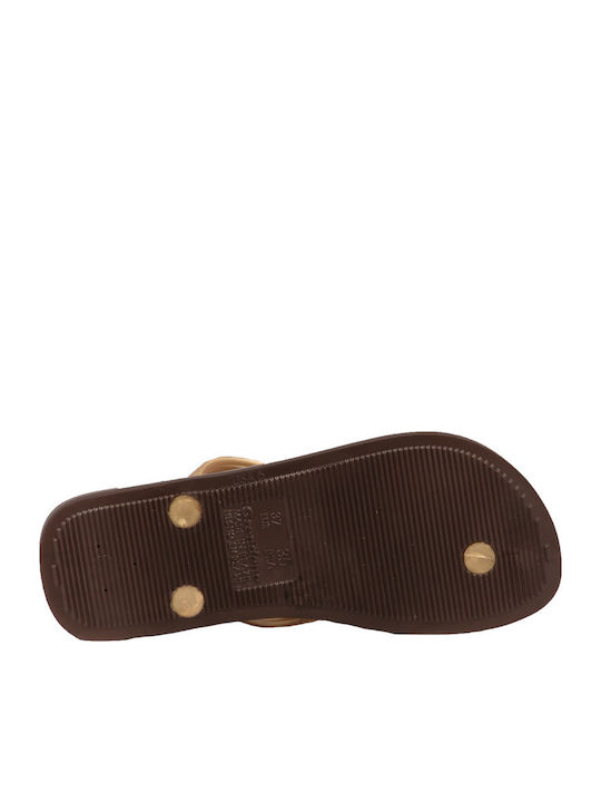 Classica Brazil Women's Flip Flops in Gold Color 780-18308 GOLDBROWN