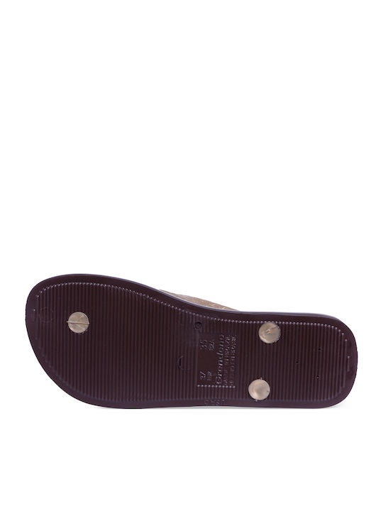 Classica Brazil Women's Flip Flops in Gold Color 780-18308 GOLDBROWN