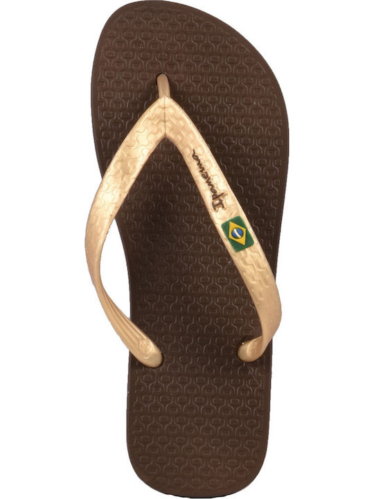 Classica Brazil Women's Flip Flops in Gold Color 780-18308 GOLDBROWN
