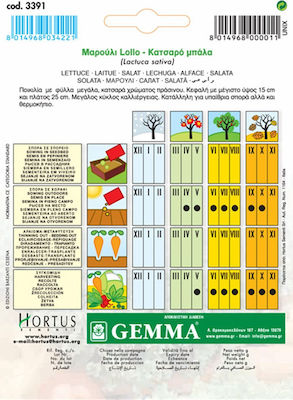 Gemma Seeds Lettuce 6.5gr/4550pcs