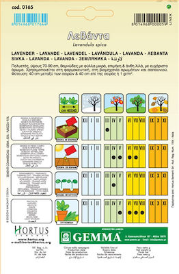 Gemma Σπόροι Λεβάντας 0.5gr/475τμχ
